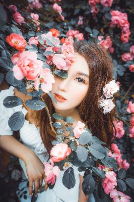 打开我的历史记录